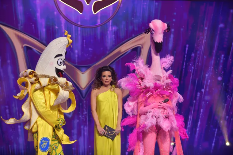 Jeste li vidjeli u kakvim su izdanjima zasjale Antonija Blaće i Nives Celzijus u 'Masked Singeru? A tek Sa&scaron;a i Borko...