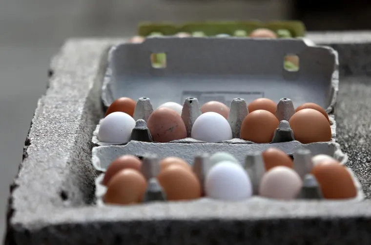 Čini se da će Hrvati ovog Uskrsa jesti isključivo jednu vrstu jaja: Kad vidite koliko ko&scaron;taju past ćete u nesvijest