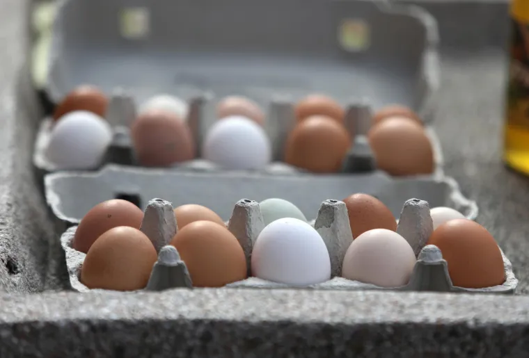 Čini se da će Hrvati ovog Uskrsa jesti isključivo jednu vrstu jaja: Kad vidite koliko ko&scaron;taju past ćete u nesvijest