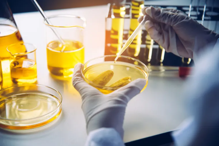 Znanstvenici su objasnili kako različita ulja, koja posjeduju višestruka fizikalna, kemijska i nutritivna svojstva, reagiraju na različite načine kada se zagrijavaju i ponekad to može dovesti do stvaranja novih spojeva koji su štetni za ljudsko zdravlje.