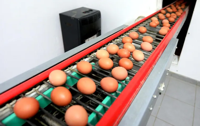 Posao 'Kralja jaja' ovih dana cvate, svi traže njegove proizvode uoči Uskrsa