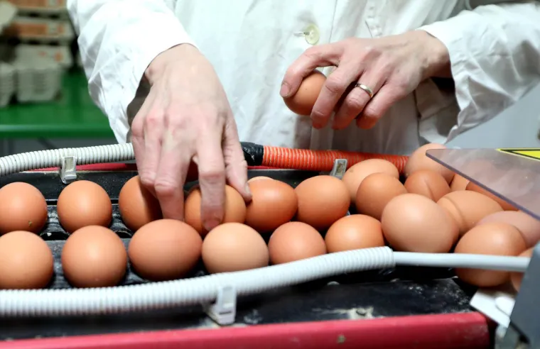 Posao 'Kralja jaja' ovih dana cvate, svi traže njegove proizvode uoči Uskrsa