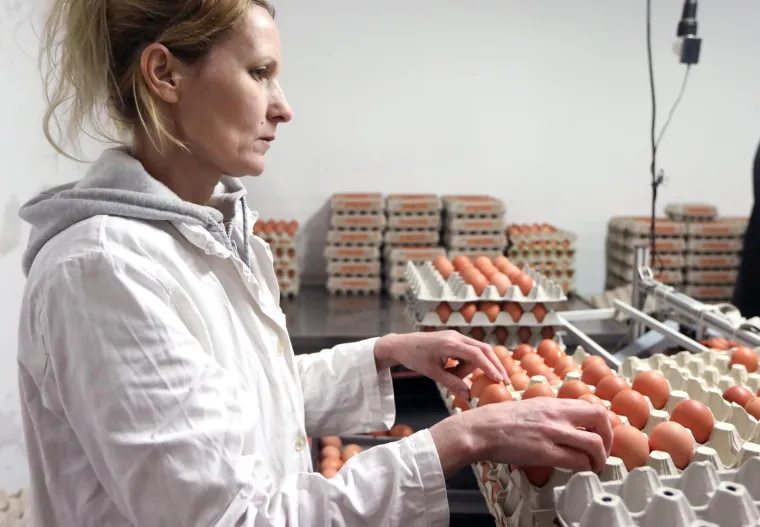 Posao 'Kralja jaja' ovih dana cvate, svi traže njegove proizvode uoči Uskrsa