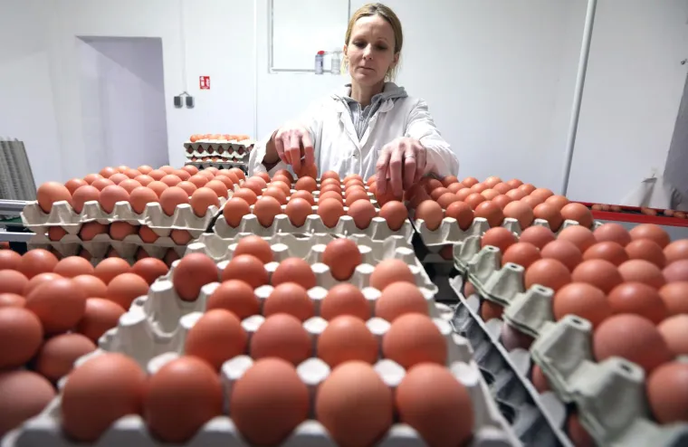 Posao 'Kralja jaja' ovih dana cvate, svi traže njegove proizvode uoči Uskrsa