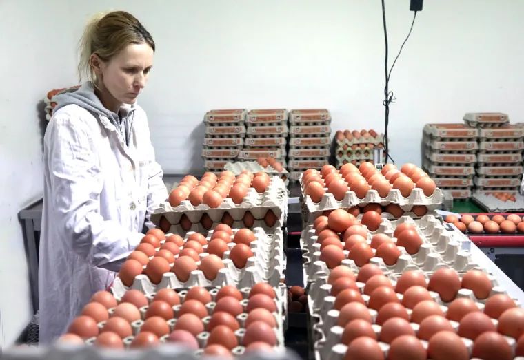 Posao 'Kralja jaja' ovih dana cvate, svi traže njegove proizvode uoči Uskrsa