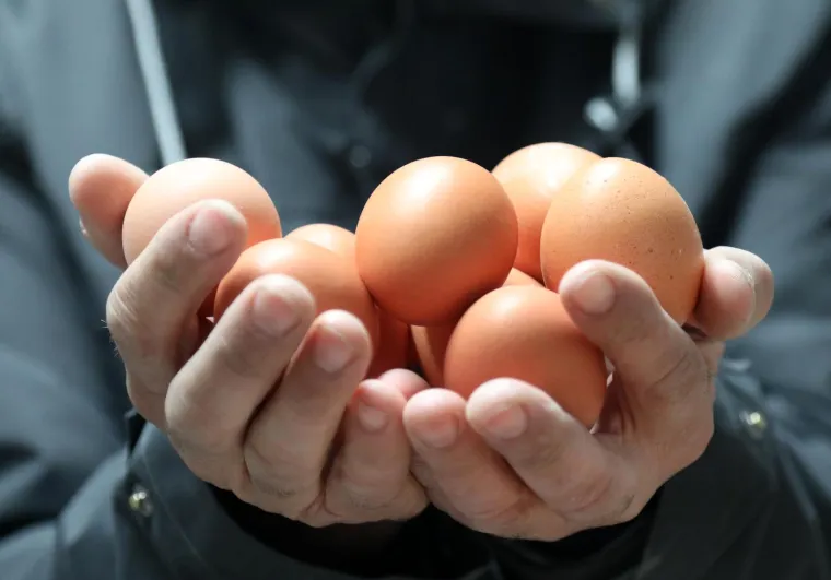 Posao 'Kralja jaja' ovih dana cvate, svi traže njegove proizvode uoči Uskrsa