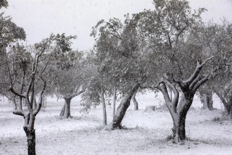 Na dana&scaron;nji dan prije dvije godine Hrvatsku je zabijelio snijeg