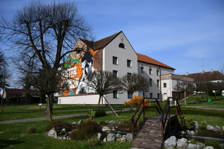 Ivo Robić za 100. rođendan u Garešnici dobio svoj prvi mural, skriva i zanimljivu poruku