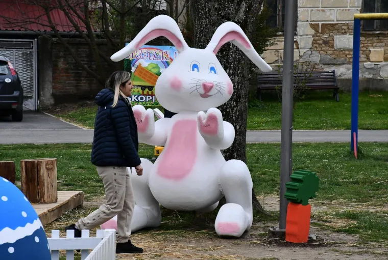 U centru Sibinja sve se zašarenilo: Pogledajte kako izgleda slavonski Zekograd