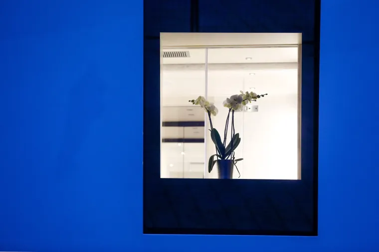 U pulsku luku uplovila luksuzna jahta ROE. Fotograf je uhvatio neobičan detalj