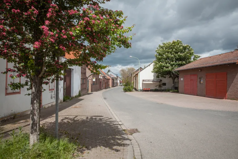 Proročanstvo učitelja se ostvarilo: Nekad su imali 1700 stanovnika, a sada su 'selo duhova' sa samo njih 12