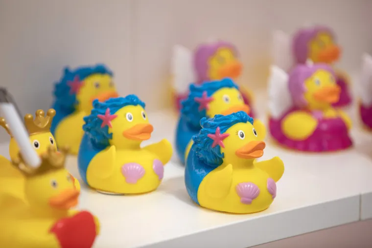 Gumene patkice dobile svoj dućan u Puli - nabildane, s krunom na glavi ili kao sirene i sve plutaju...