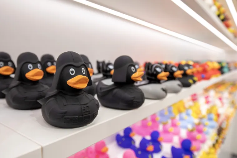 Gumene patkice dobile svoj dućan u Puli - nabildane, s krunom na glavi ili kao sirene i sve plutaju...