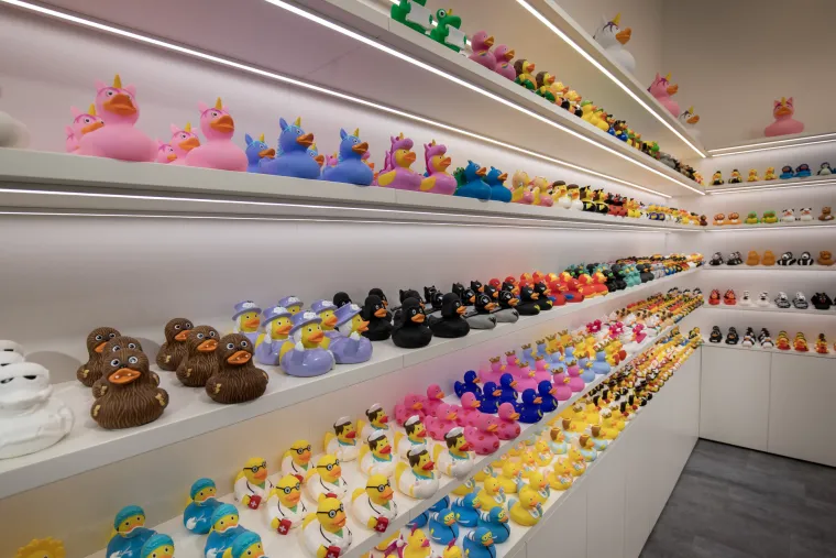 Gumene patkice dobile svoj dućan u Puli - nabildane, s krunom na glavi ili kao sirene i sve plutaju...