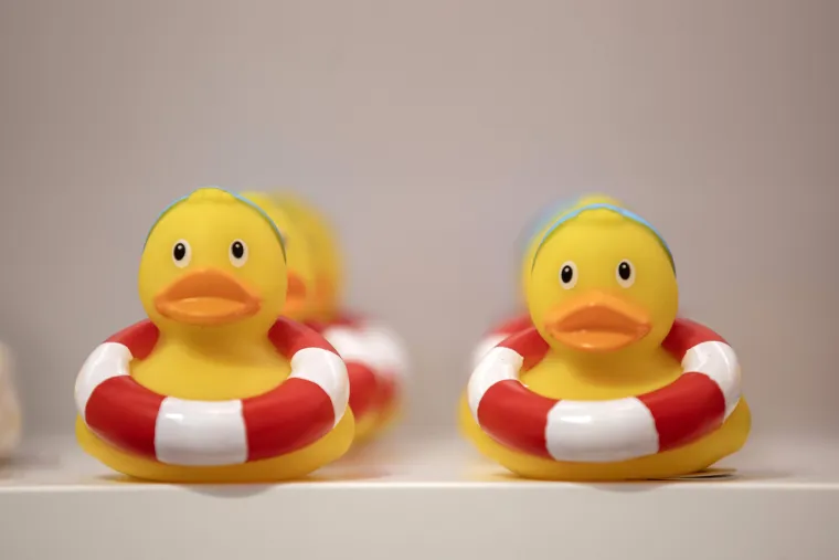 Gumene patkice dobile svoj dućan u Puli - nabildane, s krunom na glavi ili kao sirene i sve plutaju...