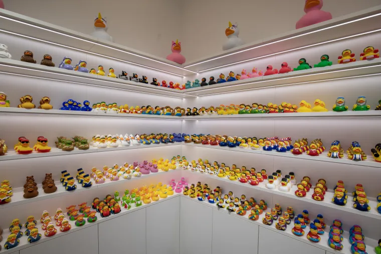 Gumene patkice dobile svoj dućan u Puli - nabildane, s krunom na glavi ili kao sirene i sve plutaju...