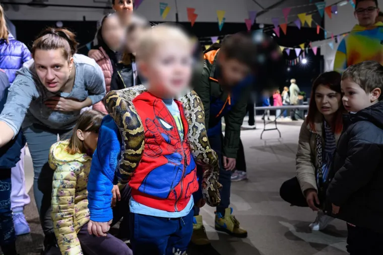 Samo za hrabre! Otvorena izložba zmija i paukova, oni najmlađi držali ih u rukama