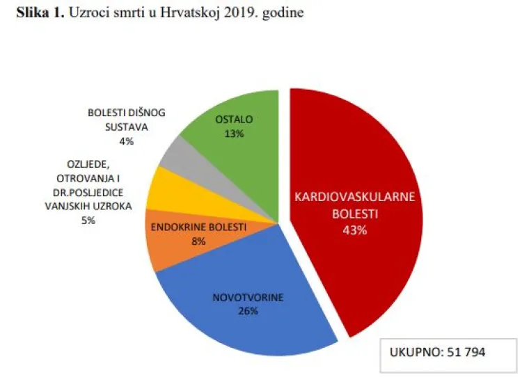 U Hrvatskoj tahikardija i ostale srčane aritmije stoje iza 18 posto hospitalizacija zbog kardiovaskularnih bolesti kod mlađih od 34 godine. Nije uvijek moguće spriječiti aritmiju, ali vođenje zdravog načina života može smanjiti rizik od razvoja bolesti srca.  Zato je iznimno važno obratiti pozornost na znakove aritmije, a liječnici su za Daily Mail izdvojili šest glavnih simptoma.
