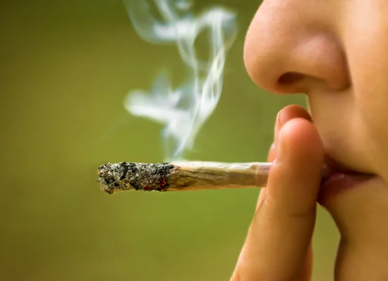 Jedna od glavnih razlika između CBD-a i THC-a je ta što je THC psihoaktivan, što znači da može uzrokovati “high” ili promijenjeno stanje svijesti, dok CBD nije psihoaktivan i ne proizvodi iste opojne učinke. To je zato što se THC veže na receptore u mozgu i proizvodi euforičan učinak, dok se CBD ne veže na te receptore na isti način. Upravo se zbog toga CBD (poput CBD ulja) može koristiti u medicinske svrhe bez straha od stvaranja ovisnosti, o čemu je bitno širiti svijest kako bi čim više ljudi saznalo za ovaj prirodan način tretiranja određenih zdravstvenih tegoba.