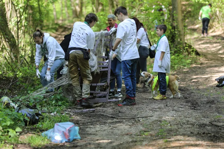 Či&scaron;ćenje &scaron;ume i okolice Rakovog Potoka