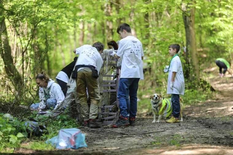 Či&scaron;ćenje &scaron;ume i okolice Rakovog Potoka