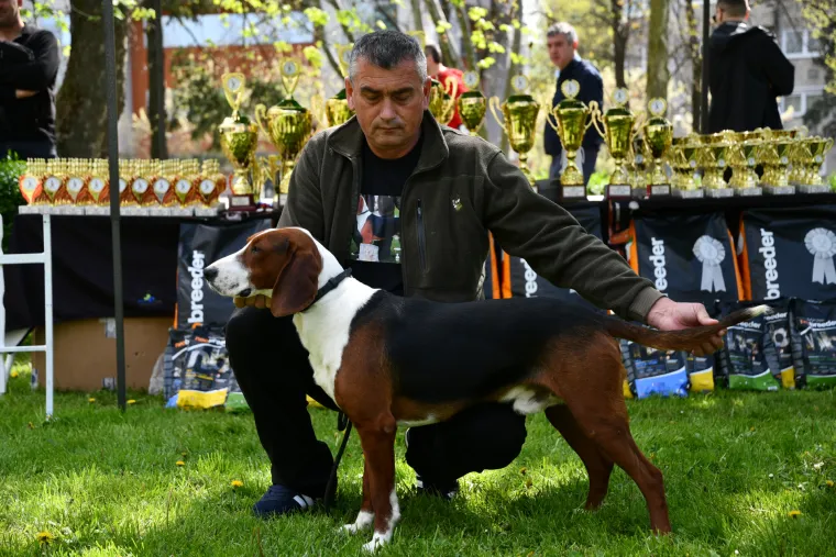 Koji je najljepši? Susjedi održali međunarodnu izložbu pasa, pogledajte tko se sve natjecao