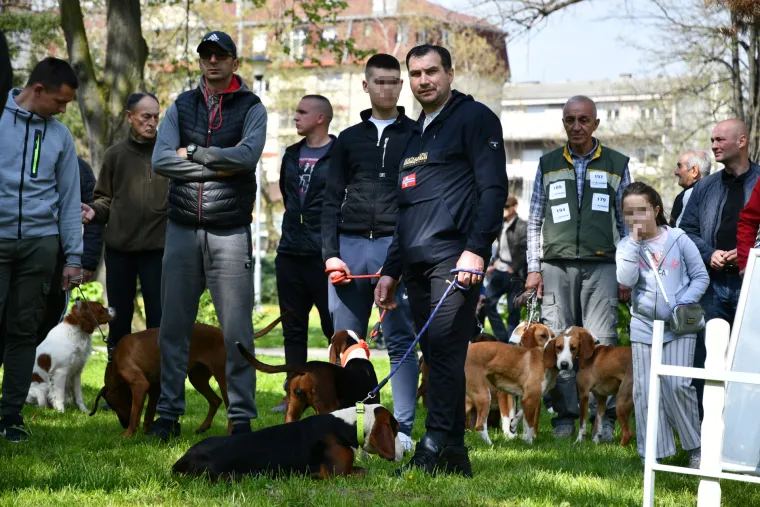 Koji je najljep&scaron;i? Susjedi održali međunarodnu izložbu pasa, pogledajte tko se sve natjecao