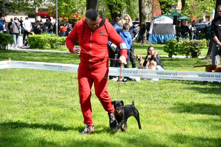 Koji je najljep&scaron;i? Susjedi održali međunarodnu izložbu pasa, pogledajte tko se sve natjecao
