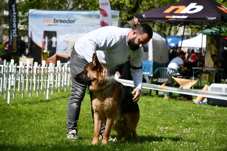 Koji je najljep&scaron;i? Susjedi održali međunarodnu izložbu pasa, pogledajte tko se sve natjecao