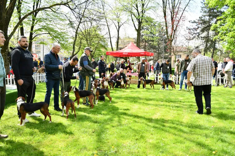 Koji je najljep&scaron;i? Susjedi održali međunarodnu izložbu pasa, pogledajte tko se sve natjecao