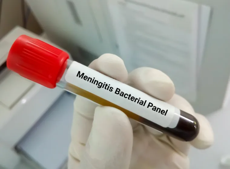 5. Enterococcus (izaziva meningitis)