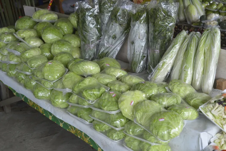 3. Salata u vrećici: Salate u vrećici puno brže gube svježinu jer su zatvorene. Takve se ne preporučuje kupovati te je  uvijek bolje kupovati svježu salatu. Zato, kad vidite da je snižena ili na nekoj akciji, bolje je izbjegnite.
