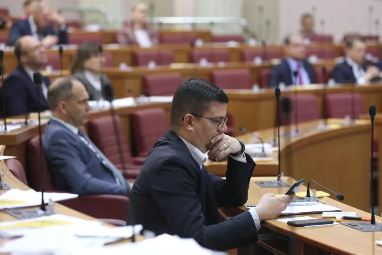 Modni mačak iz Sabora: Pogledajte kako se u dvoranu ušetao popularni zastupnik, i Grubnić bi mu pozavidio