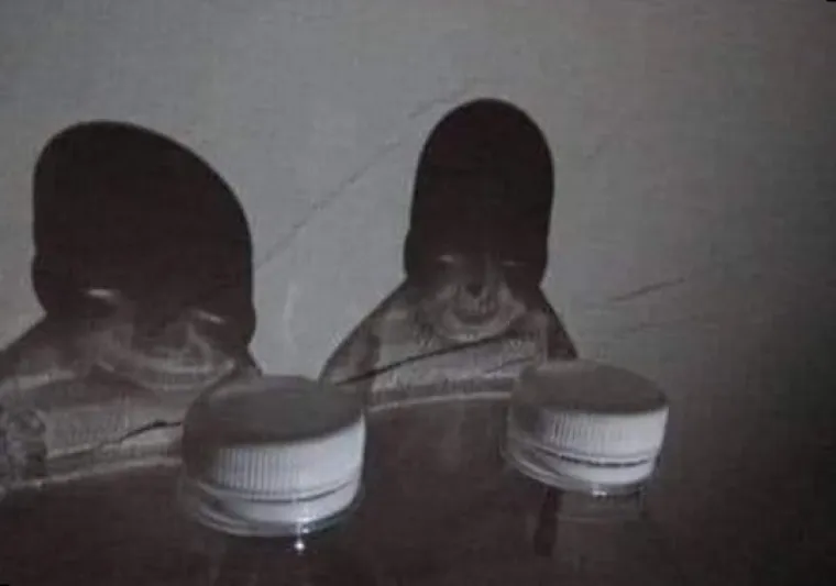Progoni li vas osjećaj da vas odnekud stalno promatraju? Bojimo se da ove fotografije neće olakšati situaciju