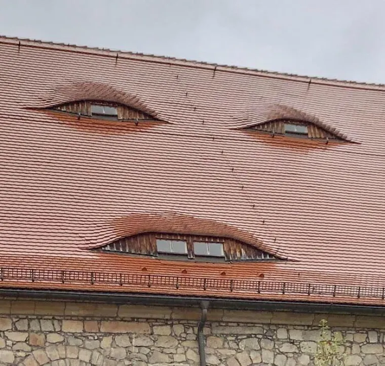 Progoni li vas osjećaj da vas odnekud stalno promatraju? Bojimo se da ove fotografije neće olak&scaron;ati situaciju