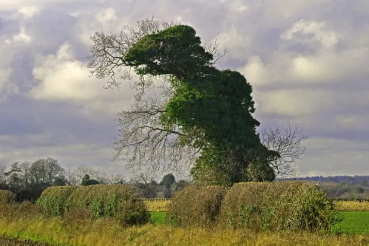 Progoni li vas osjećaj da vas odnekud stalno promatraju? Bojimo se da ove fotografije neće olak&scaron;ati situaciju