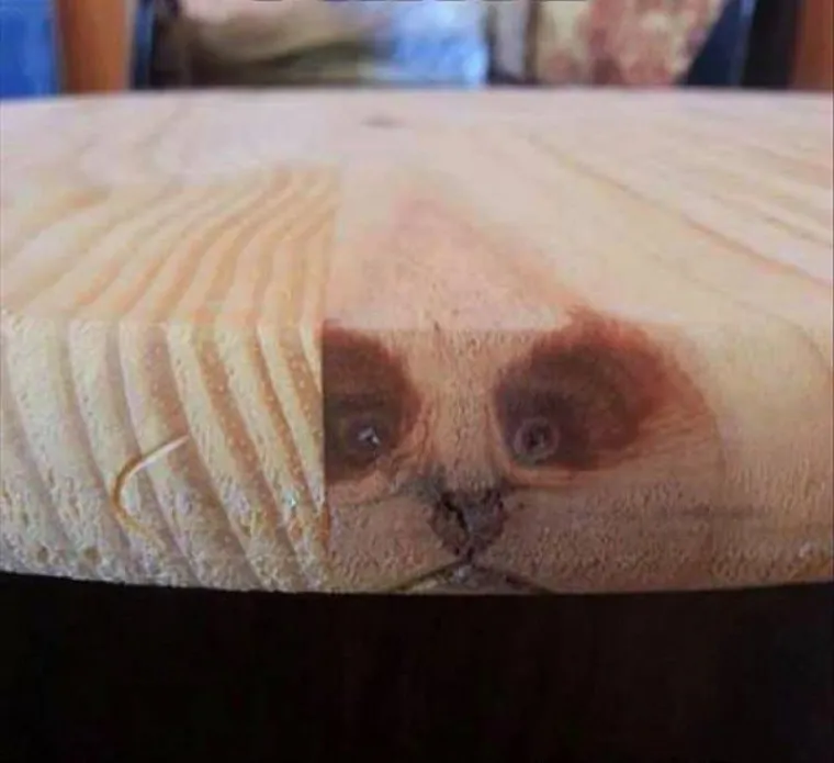 Progoni li vas osjećaj da vas odnekud stalno promatraju? Bojimo se da ove fotografije neće olak&scaron;ati situaciju