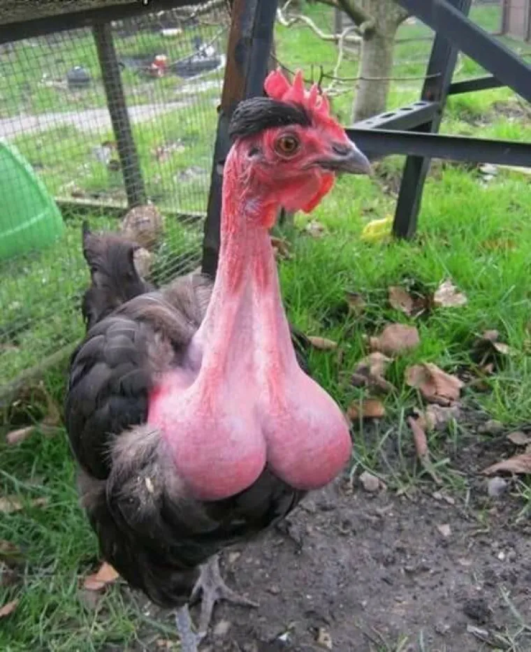 Ako vas ove nevine fotografije podsjete na seks, možda je to znak da vam je vrijeme primiti nekog ispod struka i poći u mrak