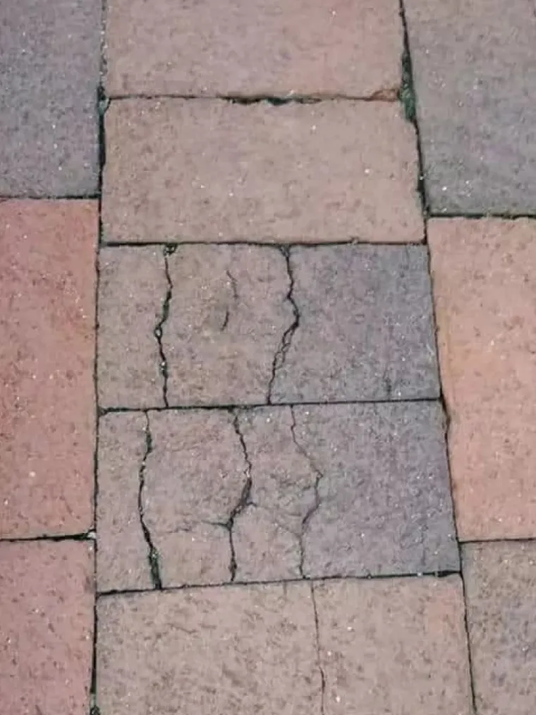 Ako vas ove nevine fotografije podsjete na seks, možda je to znak da vam je vrijeme primiti nekog ispod struka i poći u mrak