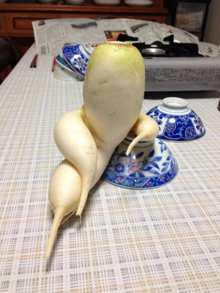 Ako vas ove nevine fotografije podsjete na seks, možda je to znak da vam je vrijeme primiti nekog ispod struka i poći u mrak