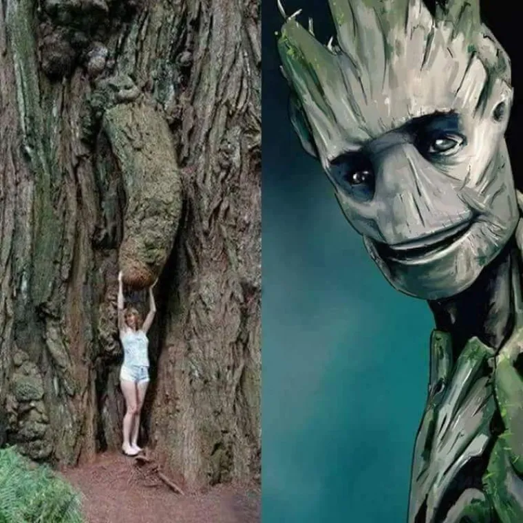 Ako vas ove nevine fotografije podsjete na seks, možda je to znak da vam je vrijeme primiti nekog ispod struka i poći u mrak