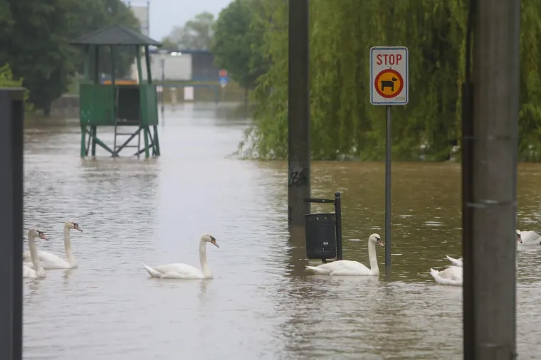 Vojska postavlja zečje nasipe, progla&scaron;eno izvanredno stanje na Korani. Poplavljeni objekti uz Mrežnicu