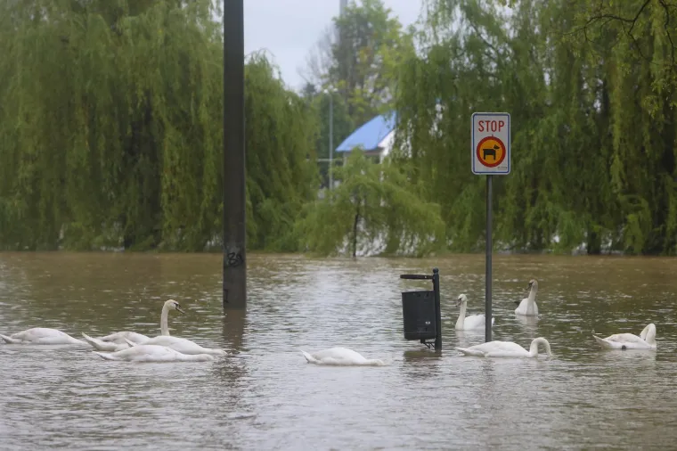 Vojska postavlja zečje nasipe, progla&scaron;eno izvanredno stanje na Korani. Poplavljeni objekti uz Mrežnicu