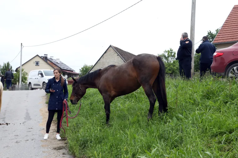 Konji za terapijsko jahanje spašeni, ali apsolutno sve pliva: 'Ovo je treća poplava, ali nikad nije bilo ovako"