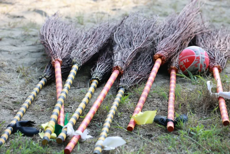 Harry Potter sakrij se! Ako sretneš ovu ekipu, razmazat će te u metloboju! Tako to rade u Dardi