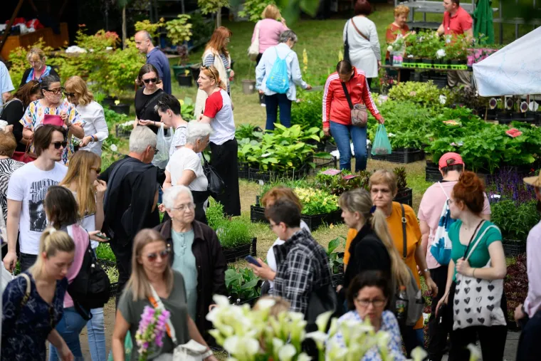 Ivančice dva eura, prkos euro... Još samo danas na zagrebačkom Floraartu možete kupiti svoj cvijet