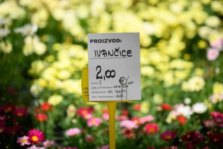 Ivančice dva eura, prkos euro... Još samo danas na zagrebačkom Floraartu možete kupiti svoj cvijet