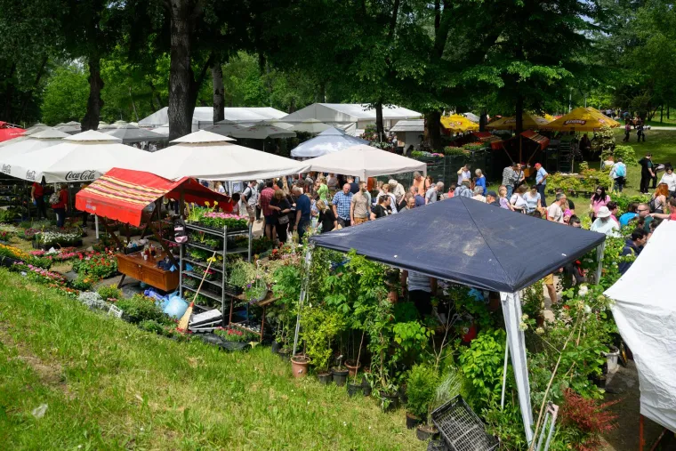 Ivančice dva eura, prkos euro... Još samo danas na zagrebačkom Floraartu možete kupiti svoj cvijet