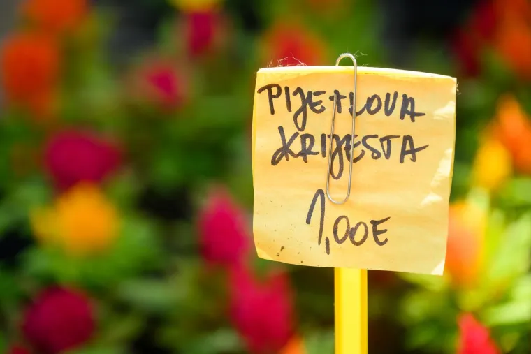 Ivančice dva eura, prkos euro... Još samo danas na zagrebačkom Floraartu možete kupiti svoj cvijet