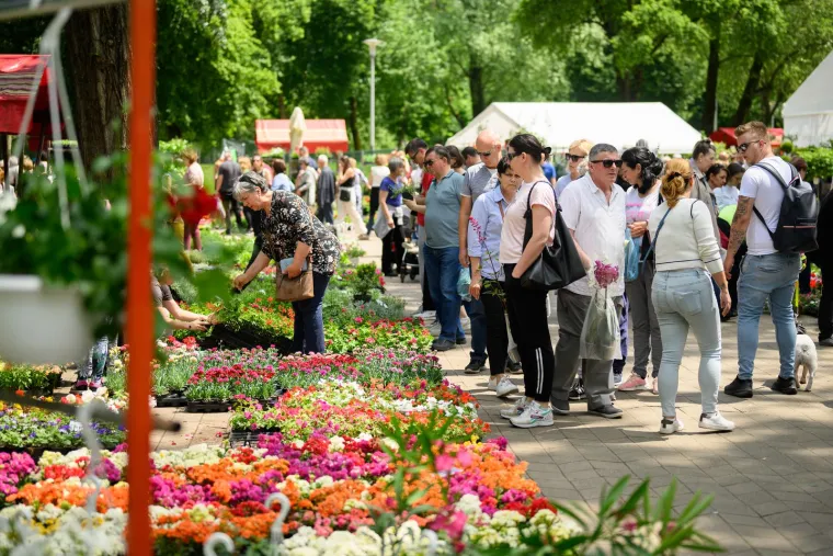 Ivančice dva eura, prkos euro... Još samo danas na zagrebačkom Floraartu možete kupiti svoj cvijet